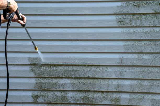Best Yard Waste Removal  in Roseburg, OR