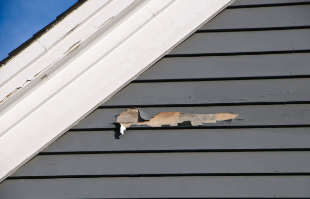 Best Construction Debris Removal  in Roseburg, OR